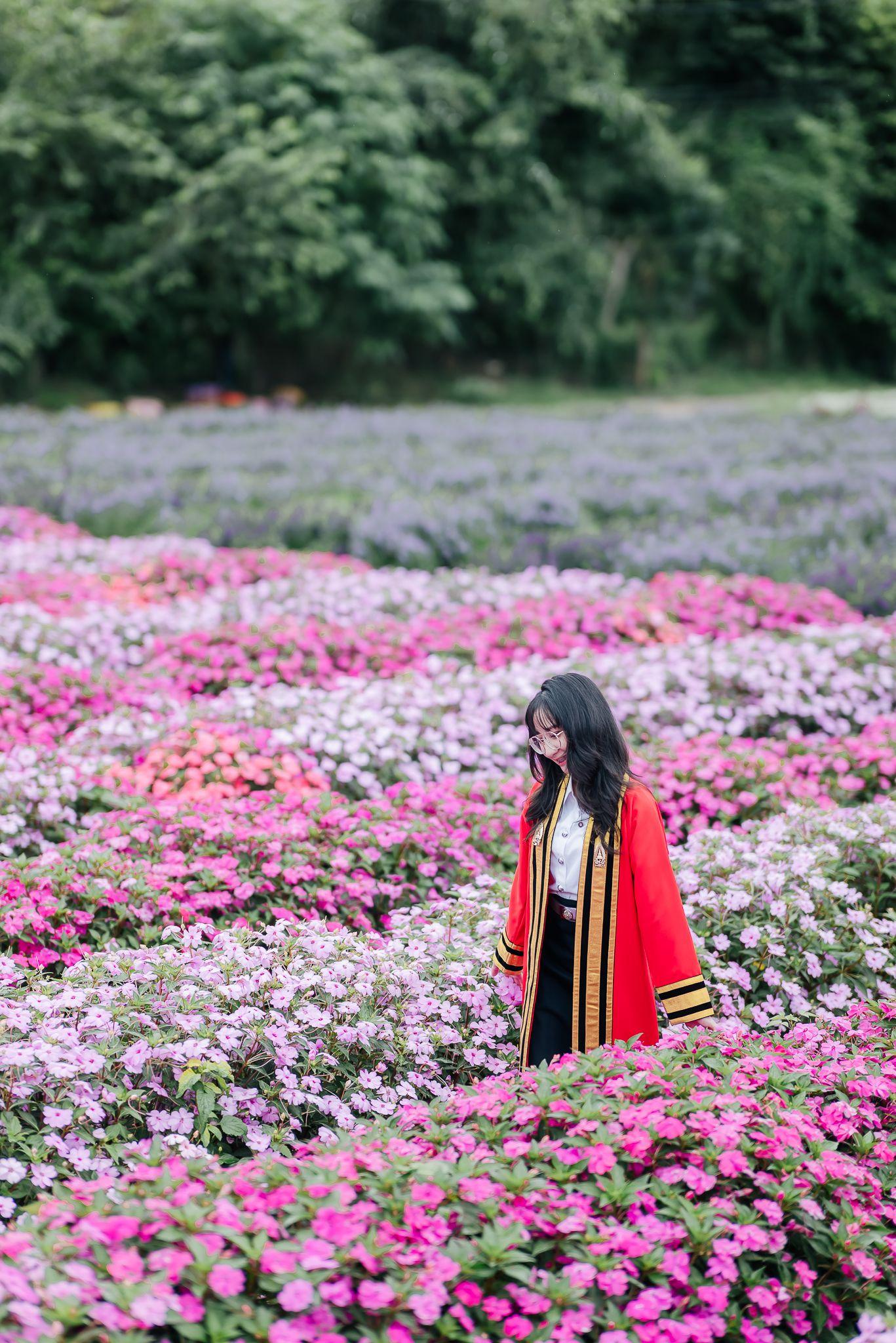 ผลงานรับปริญญา สถาบันเทคโนโลยีพระจอมเกล้าเจ้าคุณทหารลาดกระบัง โดย 28September ภาพที่ 11