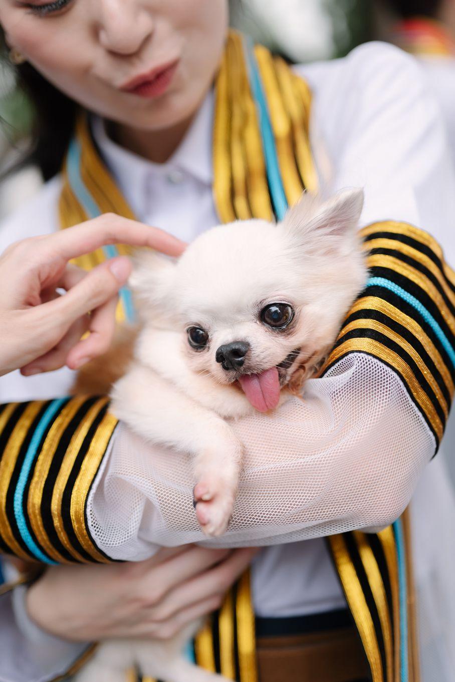 ผลงานรับปริญญา จุฬาลงกรณ์มหาวิทยาลัย โดย chatchawarnphoto ภาพที่ 19