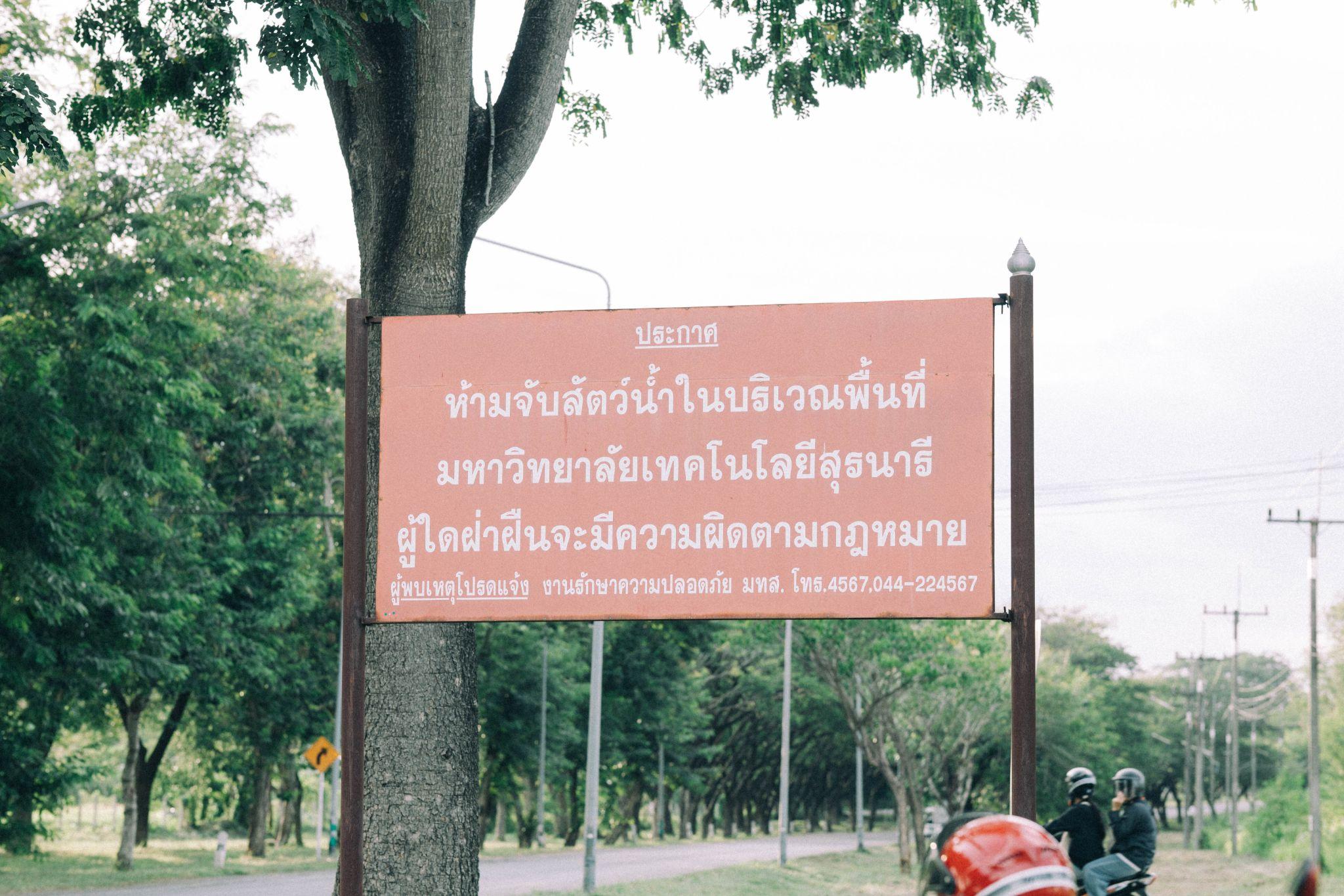 ผลงานรับปริญญา มหาวิทยาลัยเทคโนโลยีสุรนารี โดย NTP Photographer ภาพที่ 2