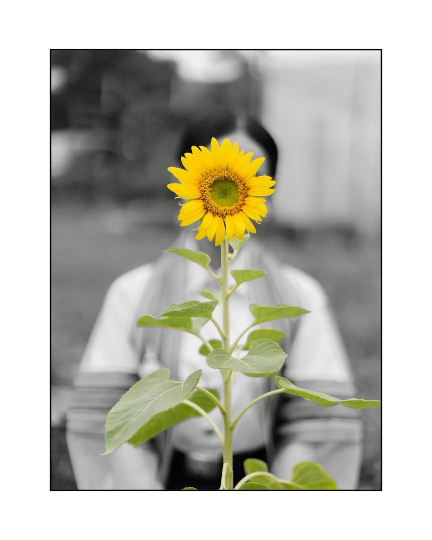 ผลงานรับปริญญา มหาวิทยาลัยเทคโนโลยีราชมงคลศรีวิชัย โดย Ns photography ภาพที่ 4