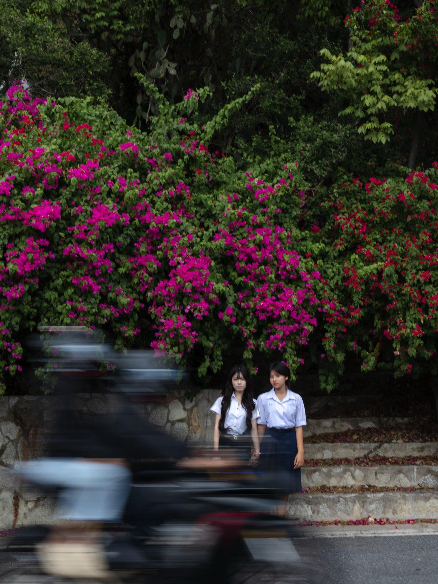 ผลงานรับปริญญา มหาวิทยาลัยบูรพา โดย ตำนักแมวอเมซอน ภาพที่ 13
