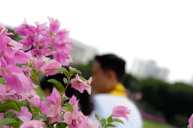 ผลงานรับปริญญา โดย JE_TAMTO ภาพที่ 4